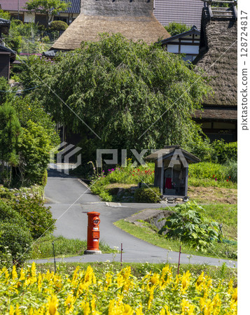 Sunflower fields in full bloom and Miyama Kayabuki Village Sunflower fields in full bloom and Miyama Kayabuki Village 128724817