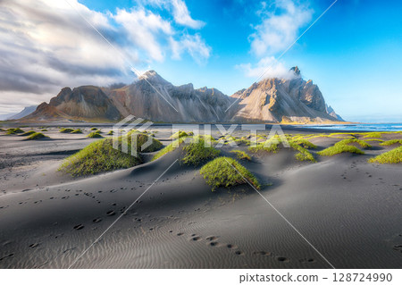 Astonishing sunny day and gorgeous rippled black sand beach with dunes and green grass on Stokksnes cape in Iceland. 128724990