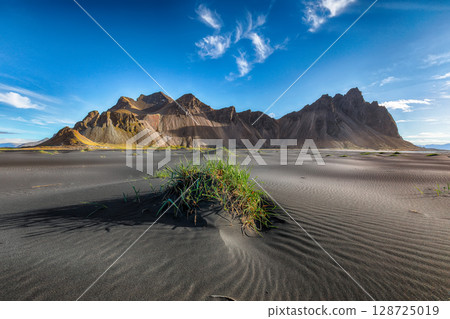 Amazing sunny day and gorgeous rippled black sand beach with dunes and green grass on Stokksnes cape in Iceland. Amazing sunny day and gorgeous rippled black sand beach with dunes and green grass on Stokksnes cape in Iceland. 128725019