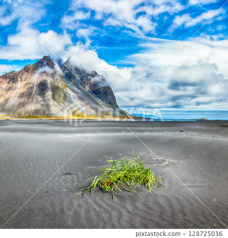 Amazing sunny day and gorgeous rippled black sand beach with dunes and green grass on Stokksnes cape in Iceland. 128725036