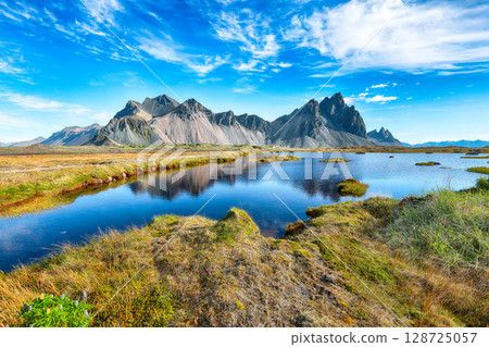 Impressive sunny day and lupine flowers on Stokksnes cape in Iceland. Impressive sunny day and lupine flowers on Stokksnes cape in Iceland. 128725057