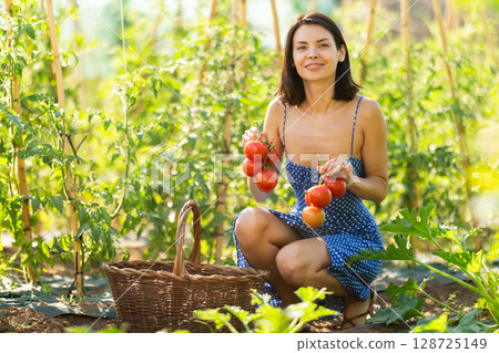 Adult woman with tomato harvest in cottage garden 128725149