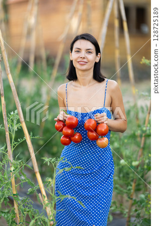 Young woman is working in garden between beds, picking ripe red tomatoes 128725189