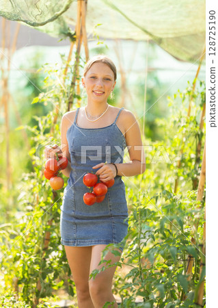 Young woman with tomato harvest in cottage garden Young woman with tomato harvest in cottage garden 128725190