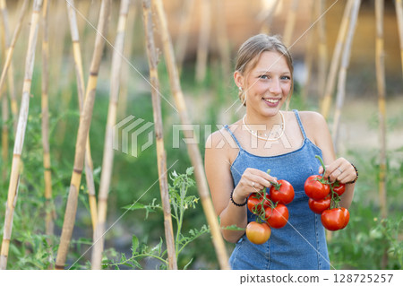 Young woman with tomato harvest in cottage garden 128725257