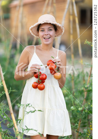 Young woman with tomato harvest in cottage garden Young woman with tomato harvest in cottage garden 128725362