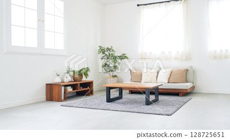 Stylish living room with sofa and furniture Stylish living room with sofa and furniture 128725651