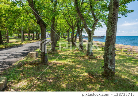 Scenery of Lake Biwa in the depths of the lake. Oura, Nishiasaicho, Nagahama City, Shiga Prefecture. 128725713