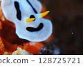 Smiling Sea Slug 128725721
