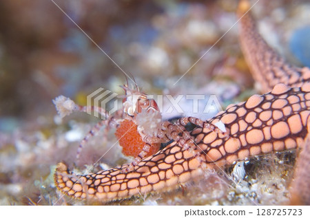 Mother of the Goddess Kristian 128725723