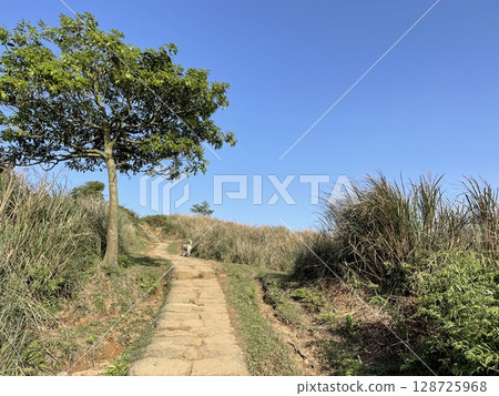 Wind Trail 128725968