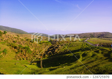 Qingtiangang 128725970