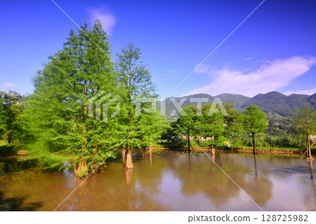 Tian Xinzi 128725982