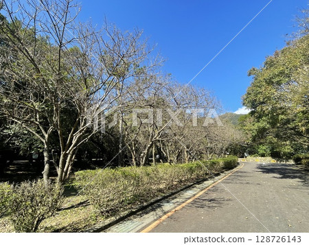 遠眺七星山 遠眺七星山 128726143