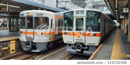 311 and 313 series lined up at Ogaki Station 128726306