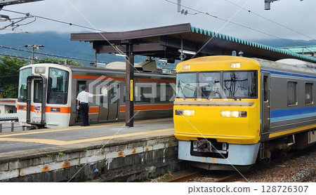 311 series and Kiha 95 series lined up at Tarui Station 128726307