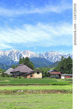 白馬的夏天：從山腳下眺望北阿爾卑斯山 128726430