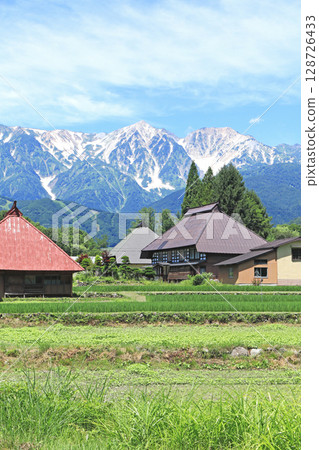Summer in Hakuba: View of the Northern Alps from the foot of the mountain 128726433