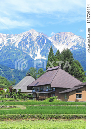 Summer in Hakuba: View of the Northern Alps from the foot of the mountain 128726434