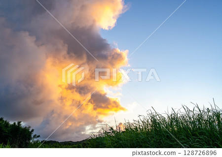 在日落染成的雲彩 128726896