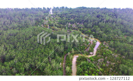 Aerial View of Lush Mangrove Forest with Curving River and Dirt Road in Tropical Wetland Aerial View of Lush Mangrove Forest with Curving River and Dirt Road in Tropical Wetland 128727112