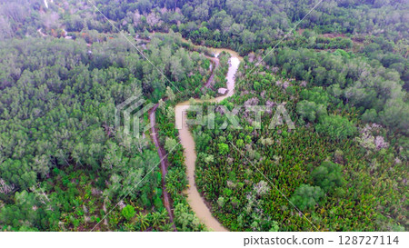 Aerial View of Curving River Through Dense Tropical Forest in Southeast Asia Aerial View of Curving River Through Dense Tropical Forest in Southeast Asia 128727114