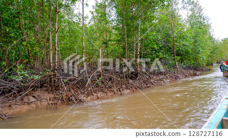 Mangrove Forest Along Riverbank with Exposed Roots and Boat on Water 128727116