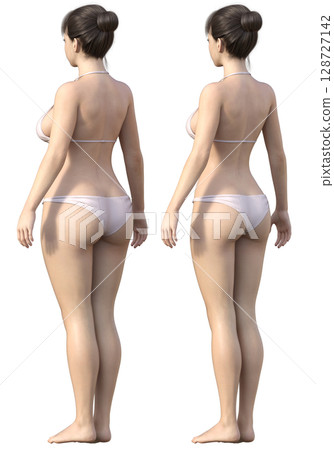 Before and after dieting. A comparison illustration of a fat woman and a thin woman, viewed diagonally from behind. 3D model. Before and after dieting. A comparison illustration of a fat woman and a thin woman, viewed diagonally from behind. 3D model. 128727142