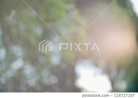 bokeh blur background light through trees bokeh effect 128727287