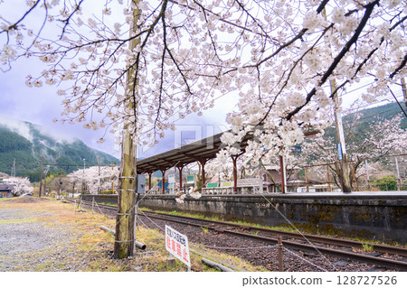Suruga Tokuyama Station in spring after the rain, a station on the Oigawa Main Line of the Oigawa Railway in Kawane-cho, Shizuoka Prefecture 128727526