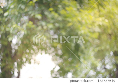 bokeh blur background light through trees bokeh effect 128727619