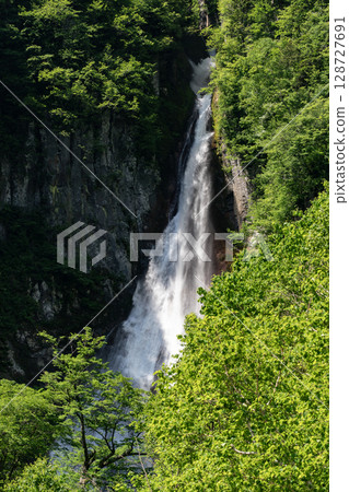 Fresh green Ryusei Falls 128727691