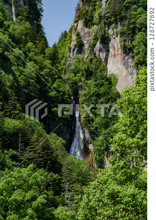 Fresh green Ryusei Falls Fresh green Ryusei Falls 128727692
