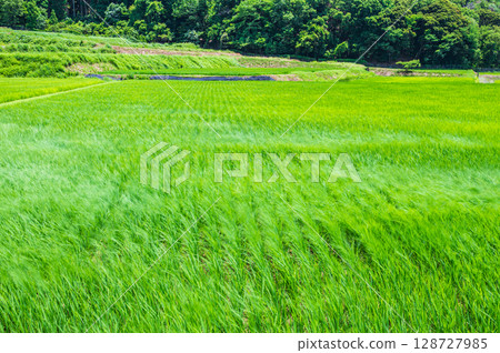 滋賀郡長濱市西亞西町琵琶湖菅浦山脈景觀 滋賀郡長濱市西亞西町琵琶湖菅浦山脈景觀 128727985