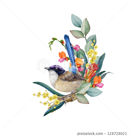 Fairy wren bird with floral decoration watercolor illustration. Hand drawn Australian native bird with gum-tree leaf, wattle flowers. Purple-crowned fairy wren with flower decor on white background 128728021