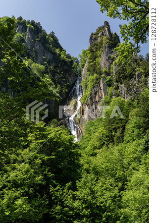 Beautiful fresh greenery at Ginga Falls 128728112