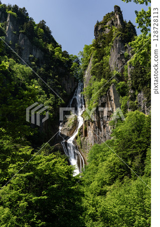 銀河瀑布 (Ginga Falls) 美麗清新的綠植 128728113