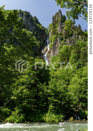 Beautiful fresh greenery at Ginga Falls Beautiful fresh greenery at Ginga Falls 128728116
