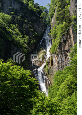 銀河瀑布 (Ginga Falls) 美麗清新的綠植 128728120
