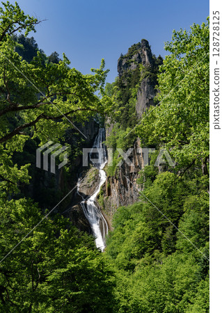 Beautiful fresh greenery at Ginga Falls Beautiful fresh greenery at Ginga Falls 128728125