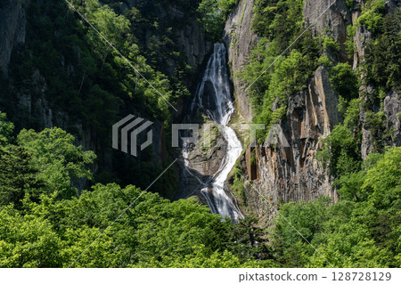 銀河瀑布 (Ginga Falls) 美麗清新的綠植 銀河瀑布 (Ginga Falls) 美麗清新的綠植 128728129