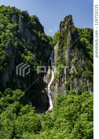 銀河瀑布 (Ginga Falls) 美麗清新的綠植 128728135