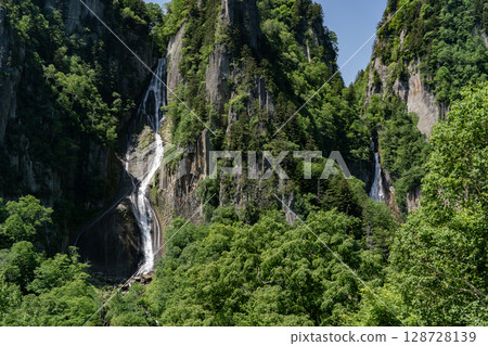 銀河瀑布 (Ginga Falls) 美麗清新的綠植 128728139