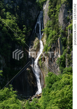 銀河瀑布 (Ginga Falls) 美麗清新的綠植 128728142