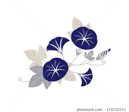 優雅的牽牛花插圖(深藍色,簡單的構圖,夏日花朵) 優雅的牽牛花插圖(深藍色,簡單的構圖,夏日花朵) 128728152