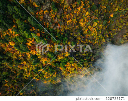 Beautiful autumn forest aerial drone view Beautiful autumn forest aerial drone view 128728171
