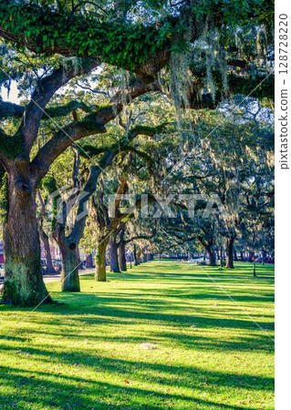 Savannah park Savannah park 128728220