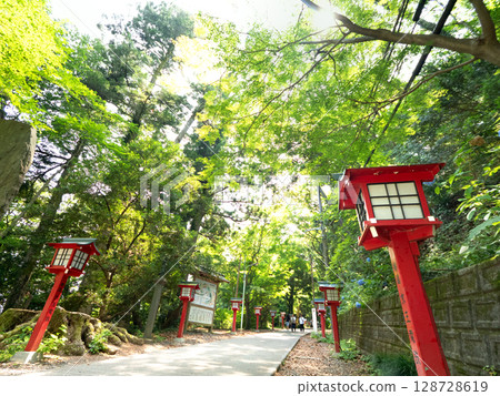 高尾山：八王子市登山步道上排列著的燈籠 128728619