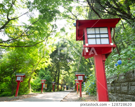 高尾山：八王子市登山步道上排列著的燈籠 128728620