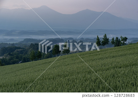 Spring countryside scenery 128728683